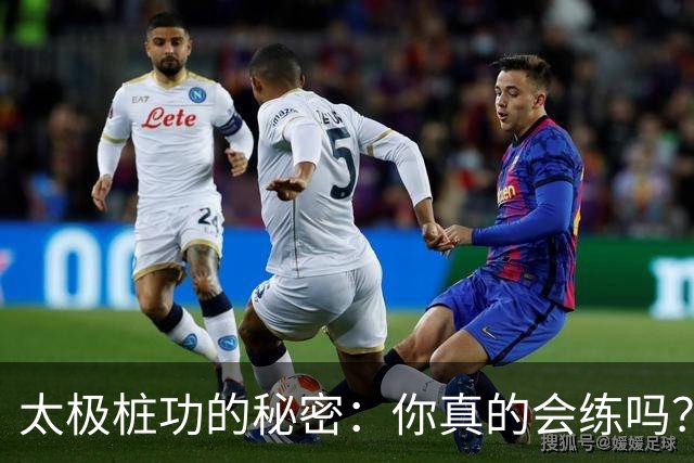 太极桩功的秘密：你真的会练吗？