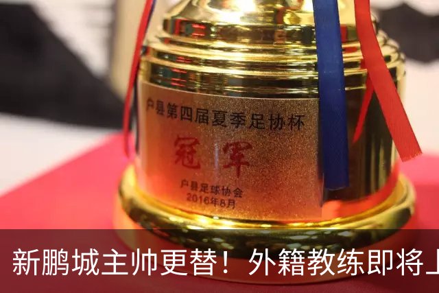 新鹏城主帅更替！外籍教练即将上任，球队未来何去何从？