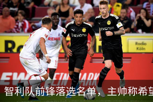 智利队前锋落选名单，主帅称希望他能说西语