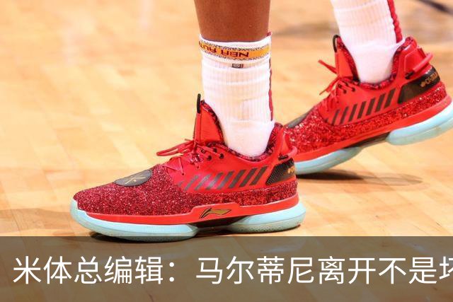 米体总编辑：马尔蒂尼离开不是坏事，曼奇尼也不该重掌意大利